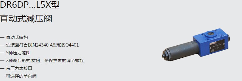 SHLIXIN上海立新DR6DP…L5X型直動(dòng)式減壓閥